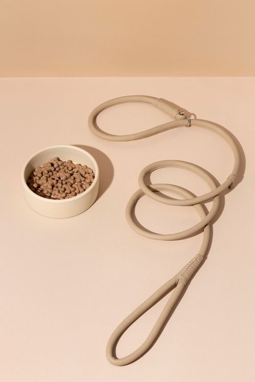 Orthopedic Dog Bed (L)
