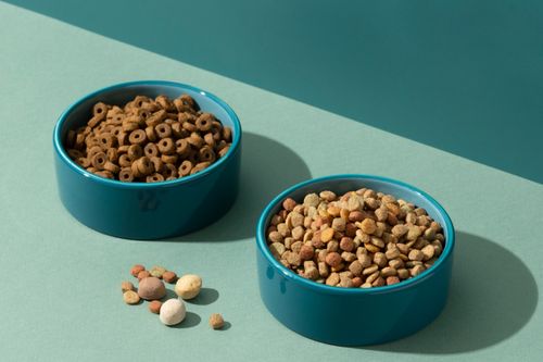 Pet Camera & Treat Dispenser